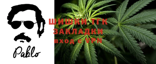 хмурый Вязьма
