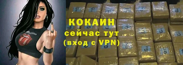 эйфоретик Вяземский