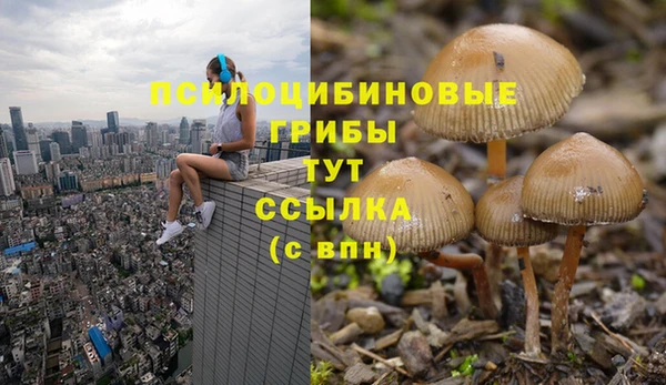 хмурый Вязьма