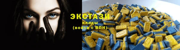 прущие грибы Вязники