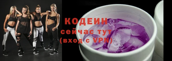 прущие грибы Вязники