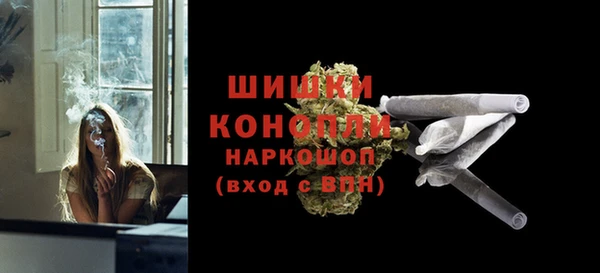 эйфоретик Вяземский