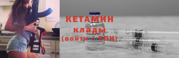 прущие грибы Вязники