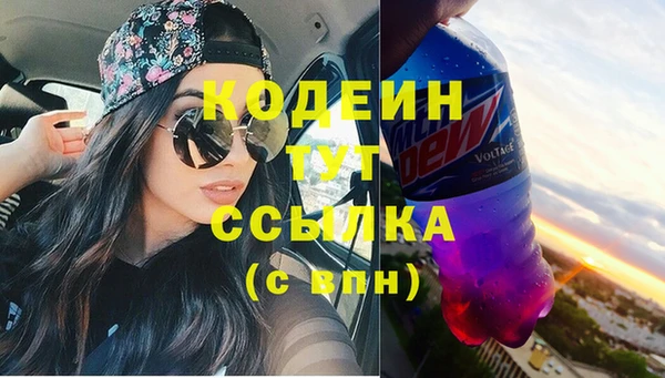 прущие грибы Вязники