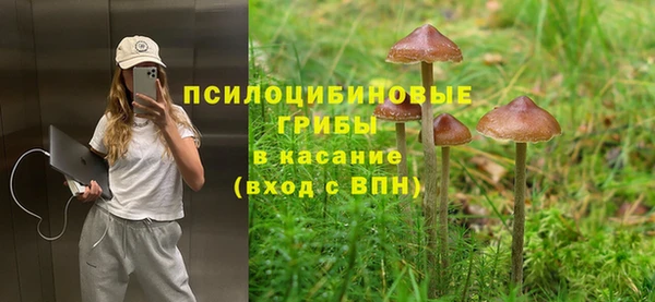 эйфоретик Вяземский
