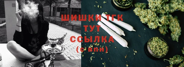 эйфоретик Вяземский