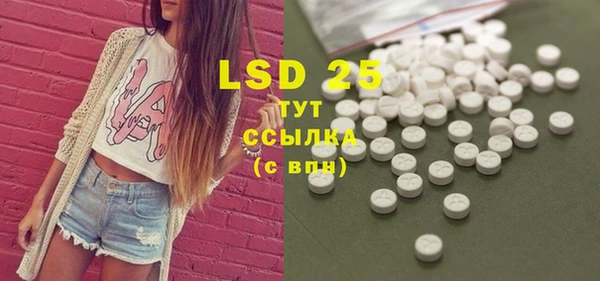 прущие грибы Вязники