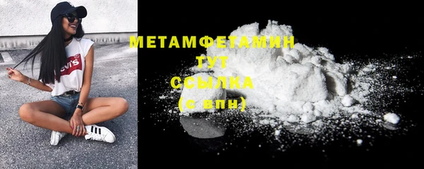 прущие грибы Вязники