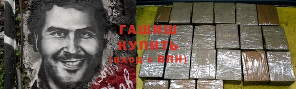 прущие грибы Вязники