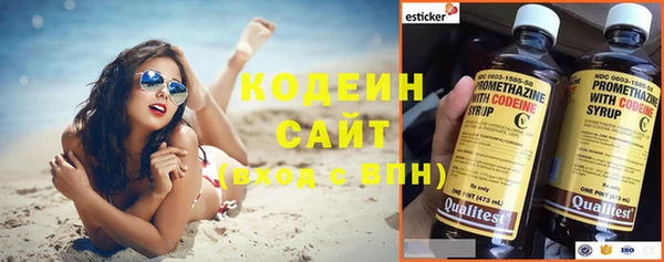 эйфоретик Вяземский